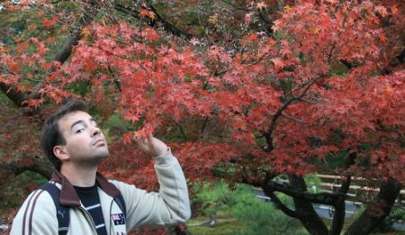dada au Japon!
