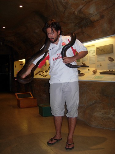 dada en australie!